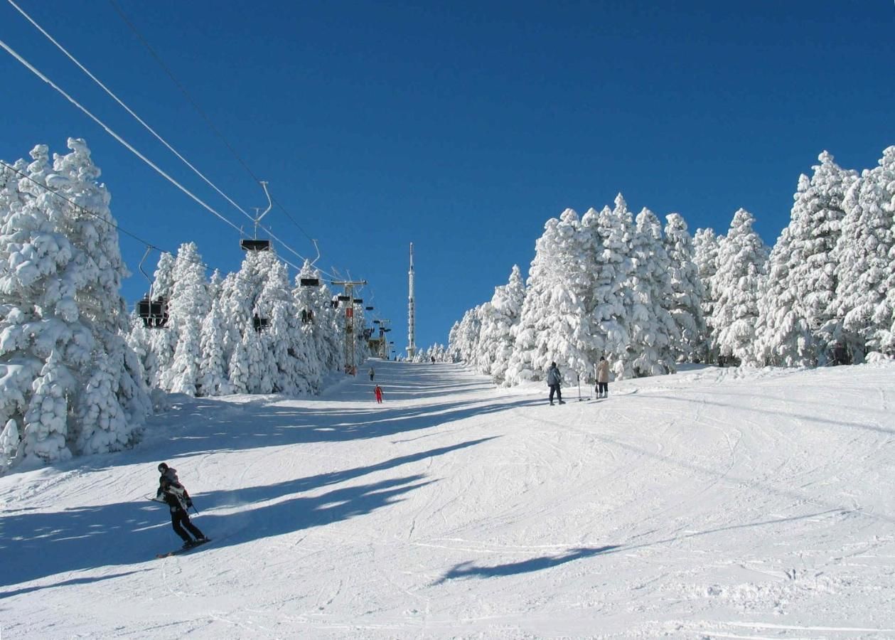 Отель Bakuriani Apart-Hotel Bakurianis Andeziti-27