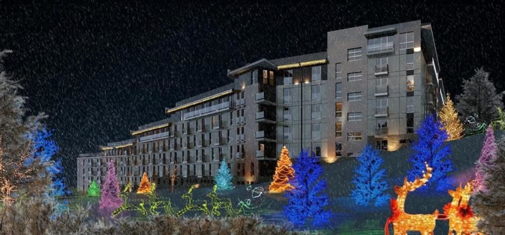 Отель Bakuriani Apart-Hotel Bakurianis Andeziti-29