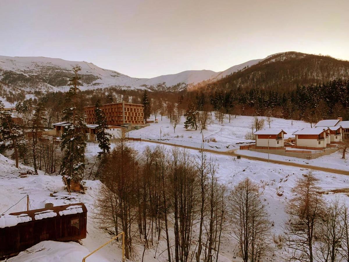 Отель Bakuriani Apart-Hotel Bakurianis Andeziti-7